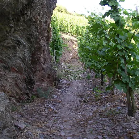 Wein- Und Gaestehaus Hermann-josef Schmitz Ürzig