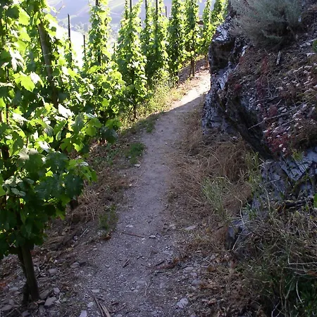 Wein- Und Gaestehaus Hermann-josef Schmitz 3* Ürzig