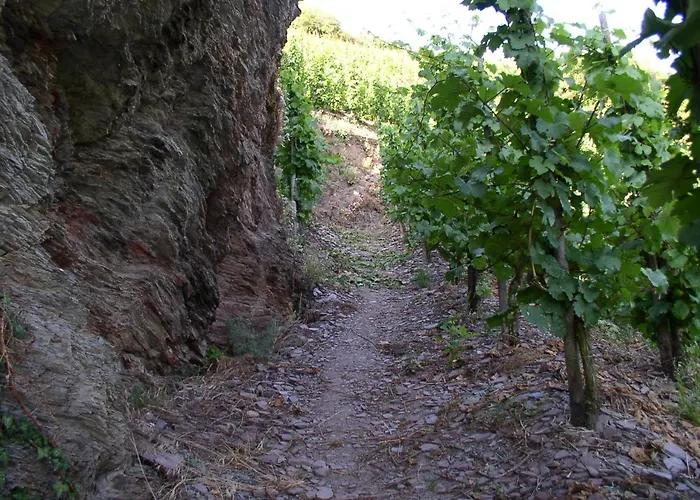 Wein- Und Gaestehaus Hermann-josef Schmitz Ürzig