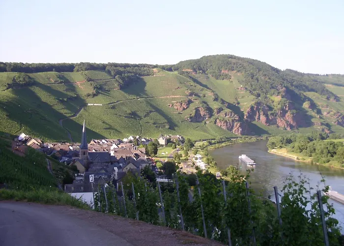 Casa de hóspedes Wein- Und Gaestehaus Hermann-josef Schmitz
