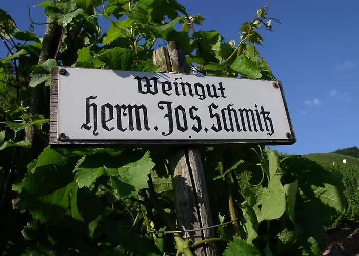 Wein- Und Gaestehaus Hermann-josef Schmitz Casa de hóspedes